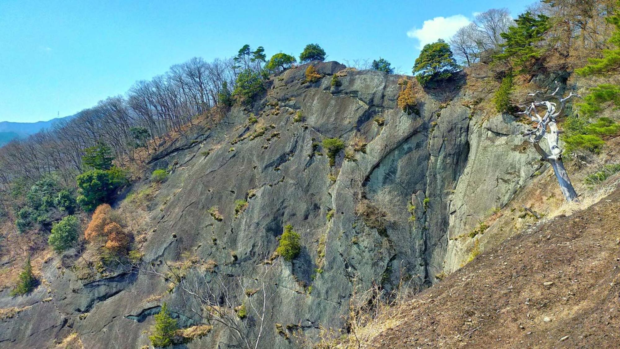 Toyoko Inn Fujisan Otsuki-Eki Otsuki  ภายนอก รูปภาพ